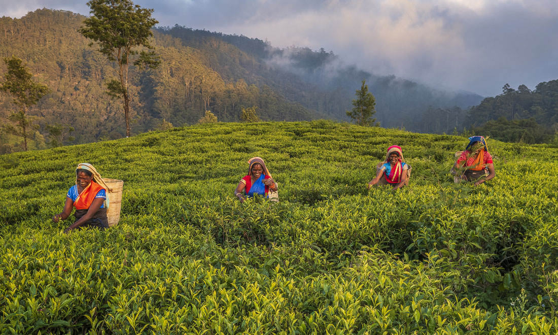 photo of mother holding baby